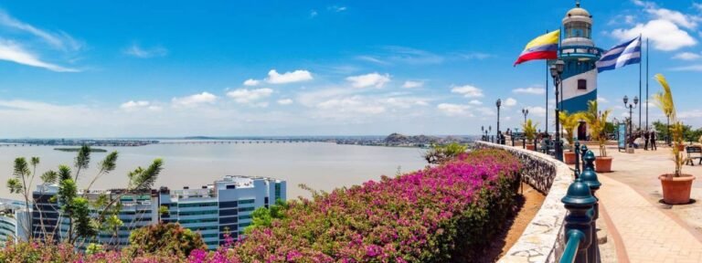 Air Europa Guayaquil Office in Ecuador