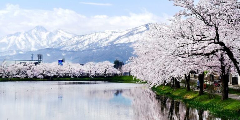 Korean Air Niigata Office in Japan